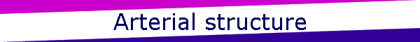 Arterial structure