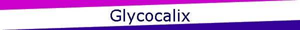 Glycocalix