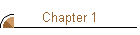 Chapter 1