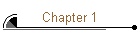 Chapter 1